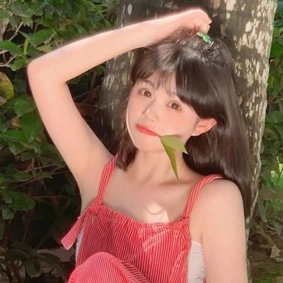 猫三国九游版下载